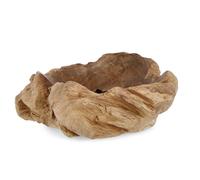 Ciotola Decorativa 40/50x40/50x15/22 cm in Legno Izara Natural