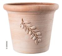 CIOTOLA DEROMA OLIVE 20 CM IN TERRACOTTA