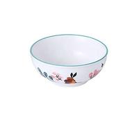 ciotola di ceramica, ciotola di zuppa, Portion Control Plate,Divided Dinner Plates,Ceramic Ramen Bowls, Deep Soup Bowls, Rice Bowls Microwave Safebowl-Spring-Bowl(Spring,Bowl)