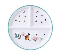ciotola di ceramica, ciotola di zuppa, Portion Control Plate,Divided Dinner Plates,Ceramic Ramen Bowls, Deep Soup Bowls, Rice Bowls Microwave Safebowl-Spring-Bowl(Spring,Plate)