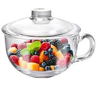 Ciotola in vetro Cereal Bowl con manico, piccola ciotola trasparente con vetro Lid Oatmeal Breakfast Bowls Microwave Safe Glassware Yogurt Bowl for Dessert Pasta Rice, 550 ml