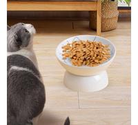 Ciotola per cibo per gatti elevata, mangiatoia per animali domestici rialzata in