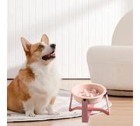 Ciotola per gatto per cani alimentatore lento alimentazione lenta per gli