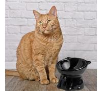 Ciotola rialzata per gatti con protezione per i baffi del collo, elegante