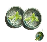 Ciotola spogliarellista, in ceramica, fatta a mano, per sbucciare le erbe, coriandolo, rosmarino e altro, rimuove efficacemente le foglie per cucinare e guarnire