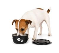 ciotole per cani - Kena nero & argento con coperchio - taglia S - acciaio inox - per crocchette cane - 600 ml