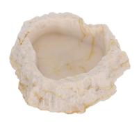 Ciotole per cibo per rettili Rettile Acqua Piatto per cibo Imitando roccia Pane
