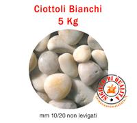 Ciottoli Bianchi non Levigati Acquario 5 Kg Pietre decorative Acquari Giardino