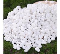 Ciottoli decorativi bianchi, adatti per giardino e casa - 0,3-3 cm, adatti per piante da interno, paesaggi esterni e decorazioni per le vacanze - adatti per patii, piante in vaso, acquari e micro paes