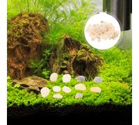 Ciottoli Decorativi Sassolini Ghiaia Del Serbatoio Pesce Decorazione Paesaggio