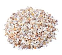 Ciottoli di ghiaia a conchiglia naturale, 1,1 libbre di ghiaia decorativa for acquario, ciottoli di fiume, pietre for riempitivo di vasi, vasi for piante, paesaggistica, acquari, casa e giardino(5-8mm