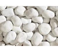 Ciottoli Marmo Bianco Carrara 12/25 20/50 40/60 n°20x25kg sassi pietre giardino