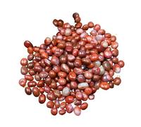 Ciottoli, pietre decorative naturali, Decorative Pebbles for Indoor, Fish Tank Rocks, Natural Mixed Color River Rocks for Plants, Vase Fillers, Landscaping Rocks, Aquarium Rocks,L(S)