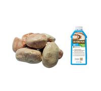 Ciottoli Rosa Corallo Effetto Bagnato Brillante con Protettivo CIR TONO PLUS