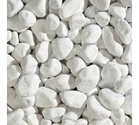 Ciottolo bianco Carrara 25-40 mm 1 kg Bianco