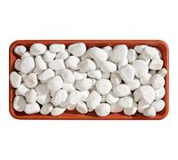 Ciottolo bianco Carrara 25-40 mm 20 kg Bianco carrara