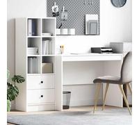 CIOURSTO Scrivania con Portaoggetti con Cassetto 2 Pezzi, MDF, Scrivania da Ufficio, Design Rettangolare, Spazio di Archiviazione Moderno, Scrittura Efficiente per la Casa (100 x 50 cm)