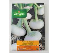 CIPOLLA BIANCA DI MAGGIO-Set da 10 bustine da 2 grammi ciascuna