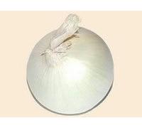 Cipolla- dolce spagnola Bianco- 200 Seeds Seeds ONLY