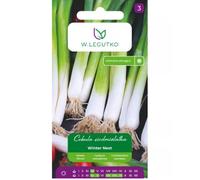 Cipolla Winter Nest a sette anni - a più germogli