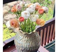 cipolle ranuncoli resistenti,Giardino di,da giardino,colorati in vaso resistenti con bellissimi luminosi giardino di 15pcs