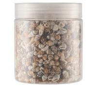 Circa 13001500 Piccolo Mare Oceano Spiaggia Spirale Conchiglie di Charms 712mm