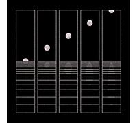 Circles Around The Sun – Let It Wander – 2 CD – Rhino