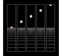 Circles Around The Sun – Let It Wander – Vinile 2 LP
