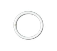 Circolina fluorescente al trifosforo G10Q 22W D. 210mm 4200K - Box LRT22N 10 PZ