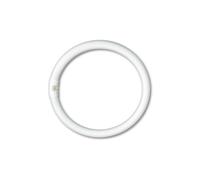Circolina fluorescente trifosforo G10Q 32W D. 300mm 4200K NOVA LINE LRT32N 10PZ