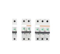 Circuit Breaker AC MCB Short Overload Protector 35mm Din Rail 1P 6-63A 220V 230V 50/60HZ RUAJOGYNVM(2p,63A)