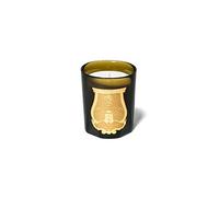 Cire Trudon copy of Ernesto 270 gr. Vela Perfumada