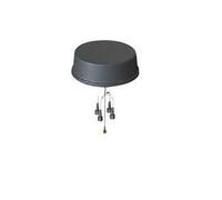 Cisco ANT-5-4G2WL2G1-O