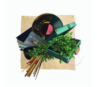 Swank,Cisco & Titus,Luke - Some Things Take Time