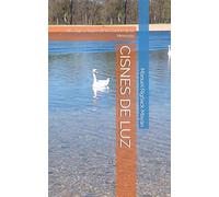 CISNES DE LUZ: Un Viaje a Través de la Cortina de la Memoria