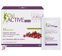 CIST ACTIVE BUSTINE 14 BUSTINE