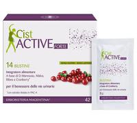 CIST ACTIVE BUSTINE 14BUST