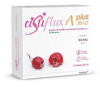 CISTIFLUX A PLUS 36 + D 14 BUSTINE