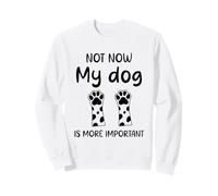 Citazione umoristica Cane non ora il mio cane è più importante divertente Felpa