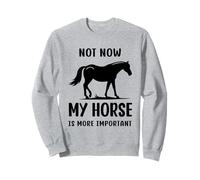 Citazione umoristica Horse Not Now My Horse Is More Importante Divertente Felpa