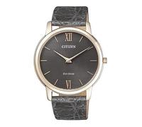 Citizen Orologio Unisex AR1133-31H