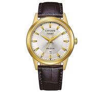 Citizen Eco-Drive AW0102-13AE