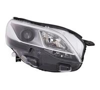 DIEDERICHS 4098084 Faro anteriore