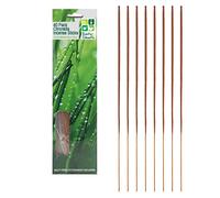 Citronella Candele Incenso Bastoncini Cera Scaglie Interno / Uso - Scelta Design