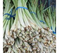 citronella da cucina giardino di, arredamento interni ufficio balcone resistenti resistenti semi di limoncillo medicinali 10pcs