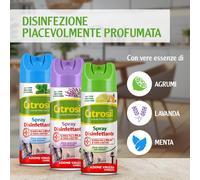 Citrosil Home Protection Spray essenze , 300 ml X3 - ASSORTITI