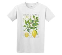 Citrus Limon Lemon Botanical Garden Plant Print Art Botany Bloom Fruit Flower Grow Fishings Casual Round Neck T Shirt White XL