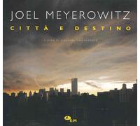 Città e destino. Ediz. a colori - Meyerowitz Joel
