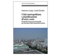 Città metropolitane e pianificazione di area vasta. Prospettive di governo territoriale per la gestione delle metamorfosi urbane