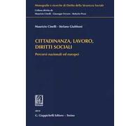 Cittadinanza, lavoro, diritti sociali. Percorsi nazionali ed europei